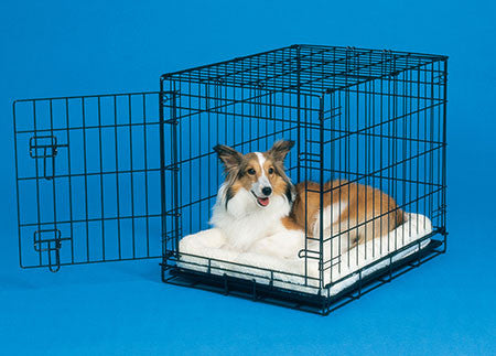 Why You Should Crate Train Your Pet