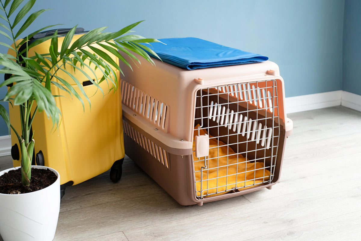 Why Covering a Dog's Crate Is Beneficial for Your Pet Pet Crates Direct