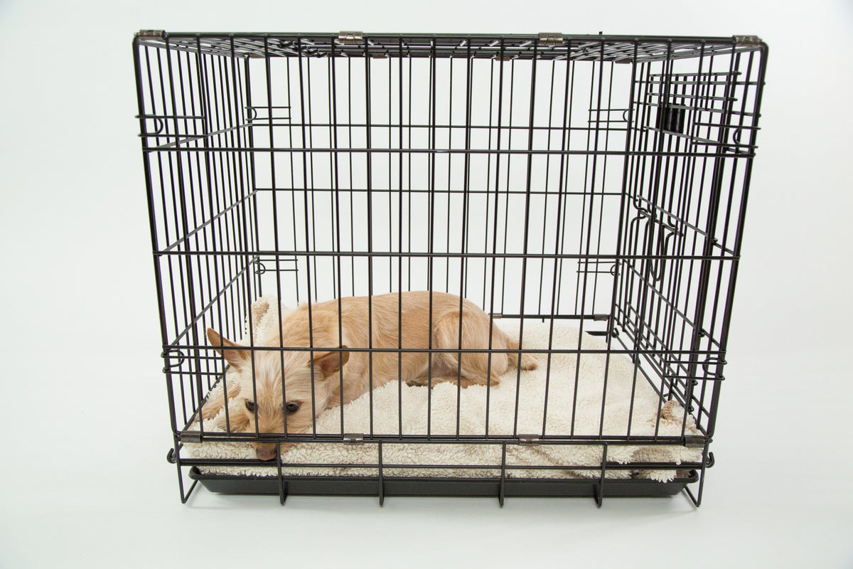The Complete Guide to Buying a Dog Crate Everything to Know Pet