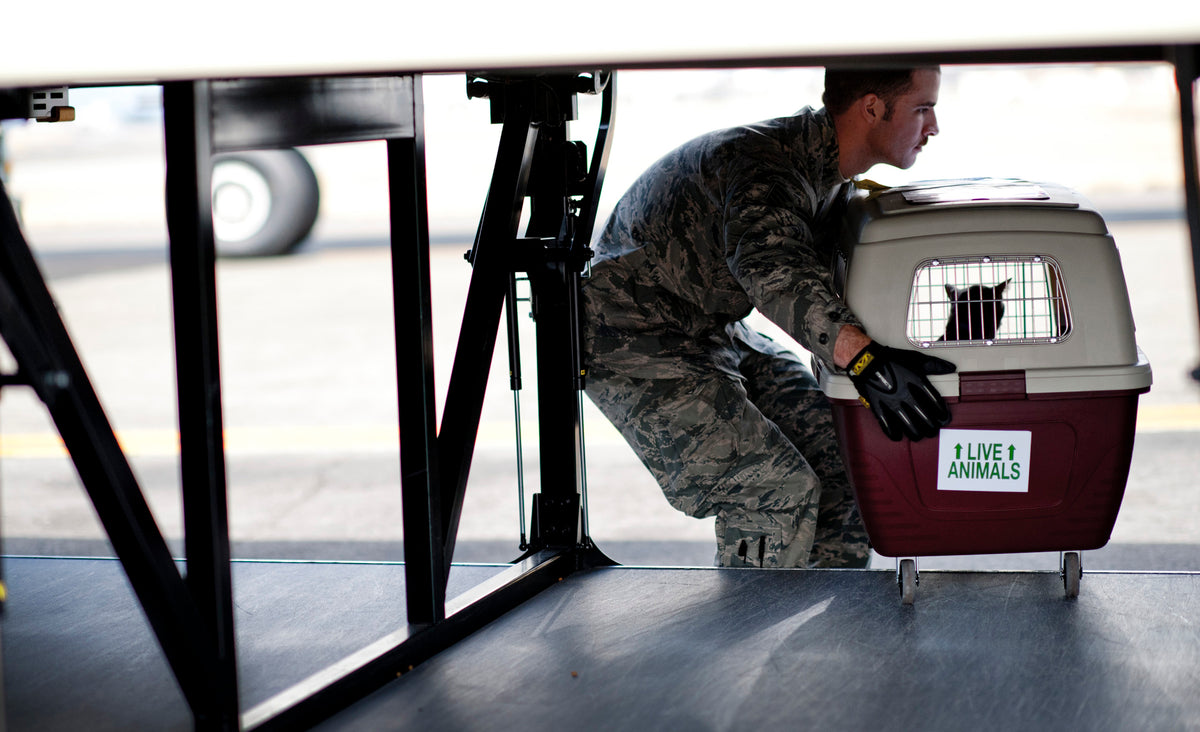 Are Pet Crate Wheels Necessary When Traveling? Pet Crates Direct