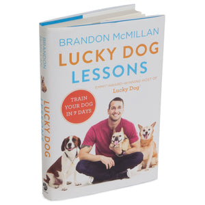 Brandon McMillan Lucky Dog Lessons