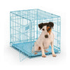 Midwest Fashion Puppy iCrate-Crate-Midwest-Hey Baby Blue-Pet Crates Direct