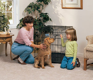 The Various Uses of a Dog Crate