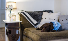 Dynamic Accents Handcrafted End Table Pet Crate - Everything You Need to Know