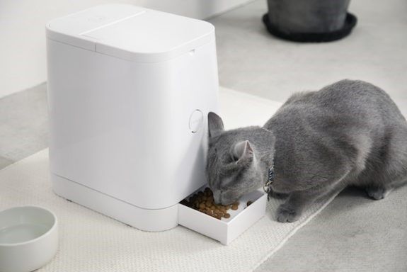 Benefits of Using the Best Automatic Cat Feeders