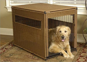 What are the best dog crate brands?