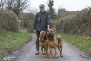 Bloodhound – Fun Facts and Crate Size