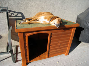 The Crown Pet Dog Den Doghouse - Everything You Need to Know