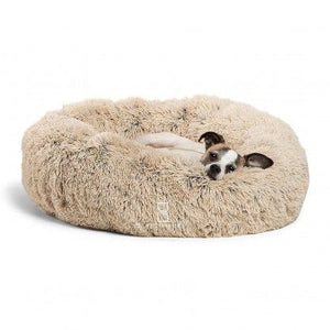 Dog Beds, Doors, and Toys