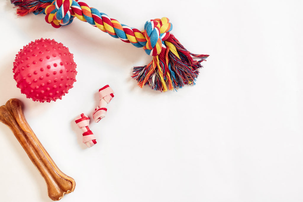 What Is the Best Dog Toy for Your Dog? A Closer Look