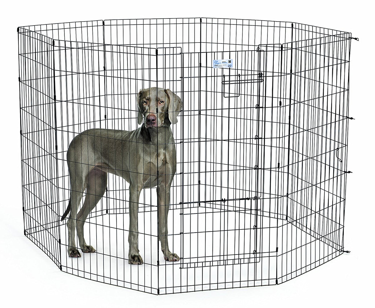 Pet Exercise Pen vs. Crate Which Is Right for Your Dog? Pet Crates Direct