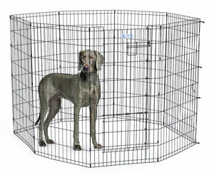 Pet Exercise Pen vs. Crate: Which Is Right for Your Dog?