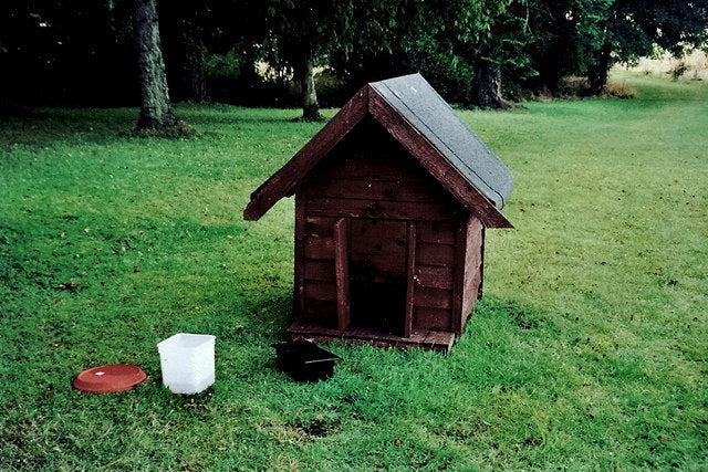 How to Get Your Pet to Like Their Dog House