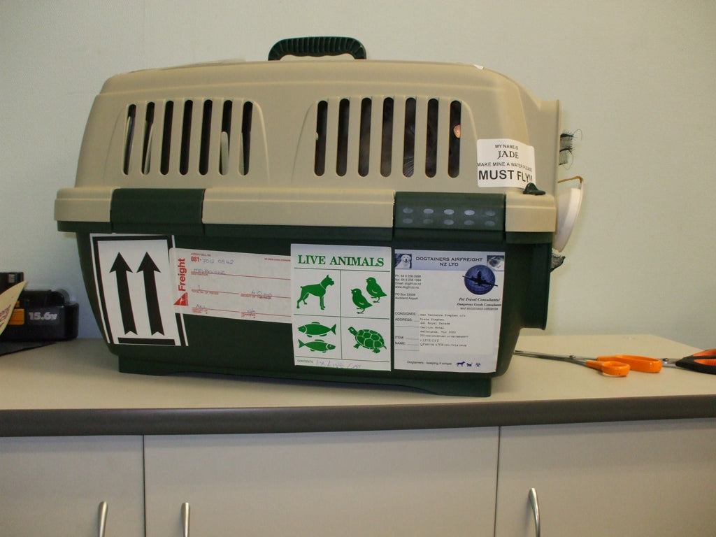 Navigator Airline Dog Crate – What Is It All About?