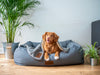 Square vs Round Dog Bed: Which Should You Choose?