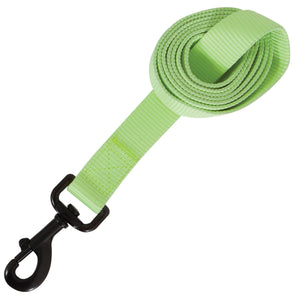 Aspen Pet Glow In The Dark Leash