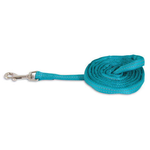 Petmate Padded Reflective Leash