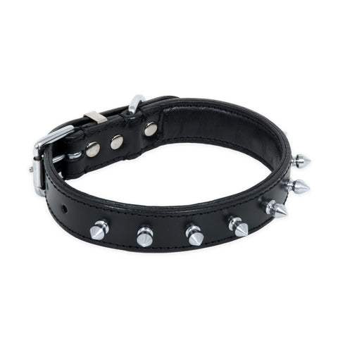 Petmate Leather Single Spike Collar