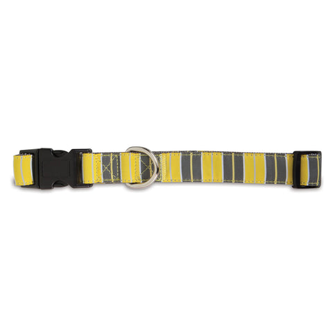 Petmate Adjustable Fashion Dog Collar