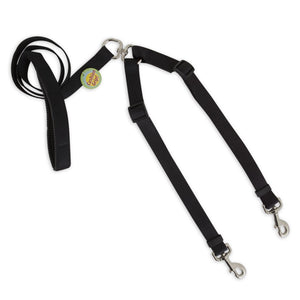 Aspen Pet Take Two! Nylon Adjustable Cushion Grip Leash