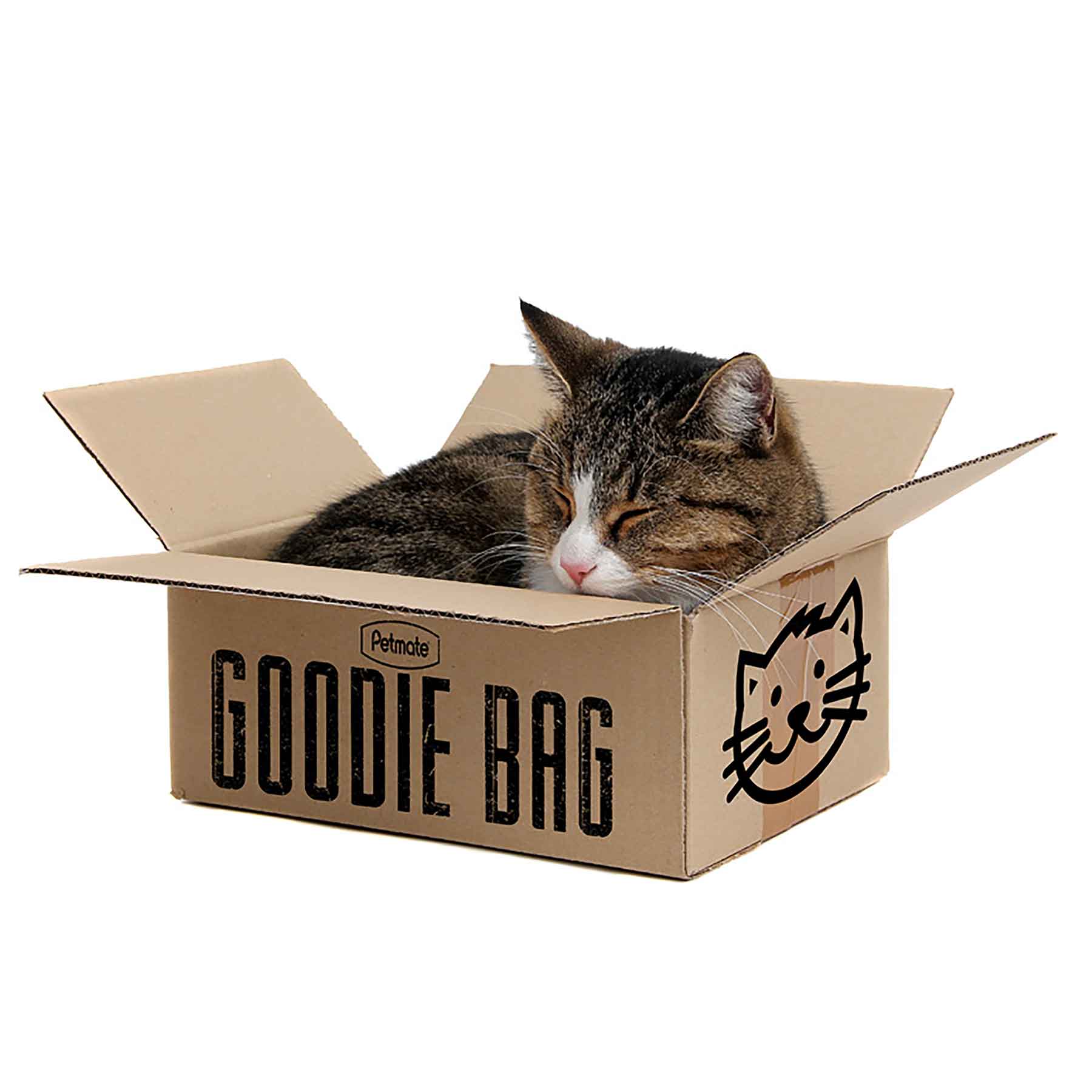 Petmate Goodie Bag Cat