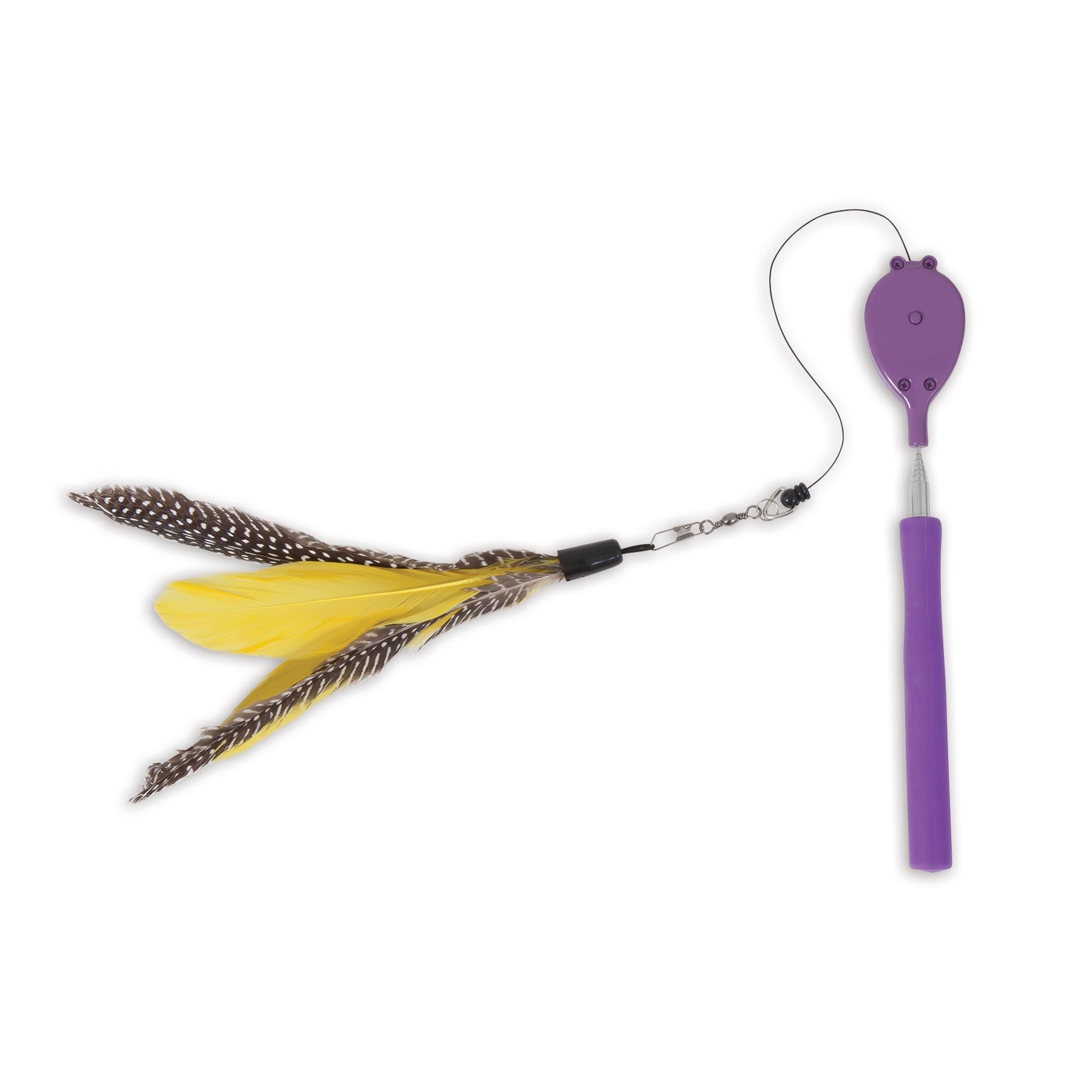 Jackson Galaxy Wands