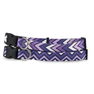 Petmate Chevron Adjustable Collar - Purple