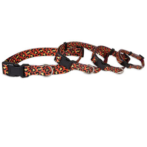 Petmate Orange Chevron Adjustable Collar