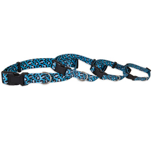 Petmate Blue Chevron Adjustable Pet Collar