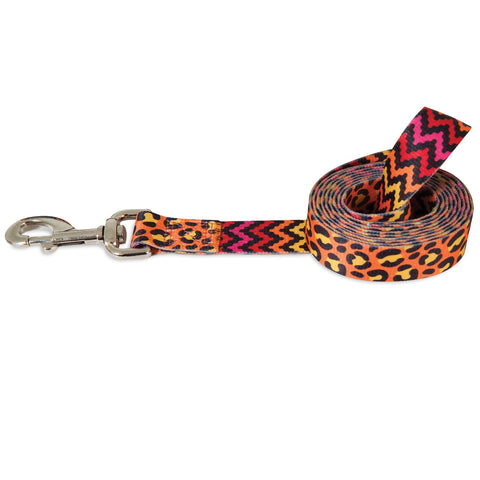 Petmate Animal Chevron Leash - Orange