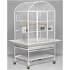 Avian Adventures Mediana Dometop Bird Cages-Cage-Avian Adventures-Pearl White-Pet Crates Direct