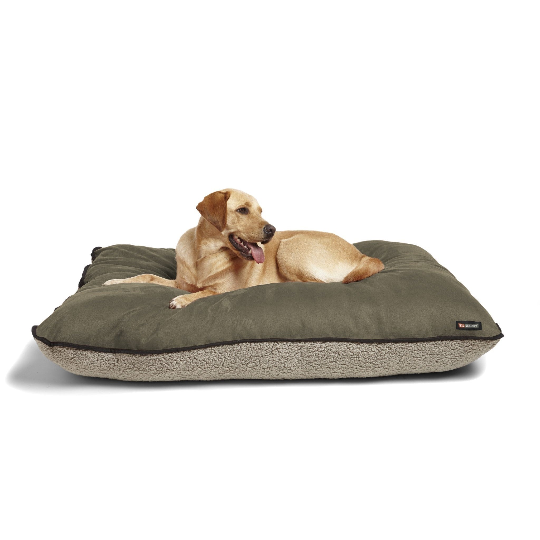 Big shrimpy dog clearance beds