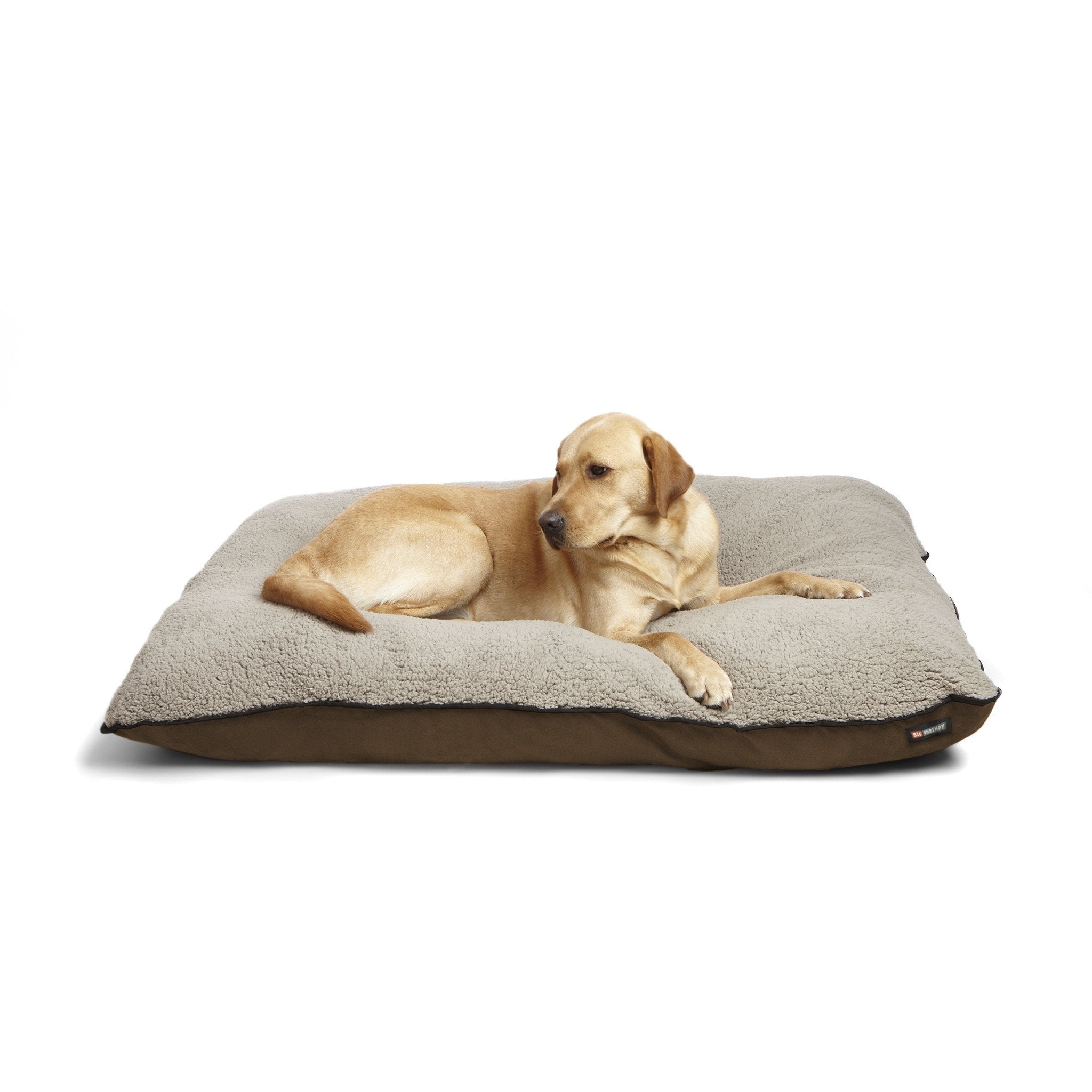 Big shrimpy dog clearance beds