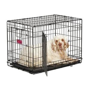 iCrate Double Door Dog Crate-Crate-Midwest-1518DD - 18L x 12W x 14H-Pet Crates Direct