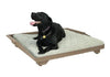 Impact Dog Bed