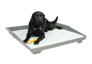 Impact Dog Bed