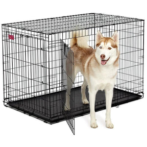 Midest Life Stages Ace Double Door Dog Crate Pet Crates Direct