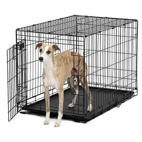 Life Stages Ace Single Door Dog Crate-Crate-Midwest-418 - 18.5 L x 12.5 W x 14.5 H-Pet Crates Direct