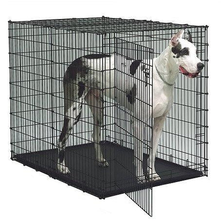 Great Dane 54 Dog Crate With Divider Midwest Colossal Dog Crate