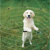 Exercise Pen with Door