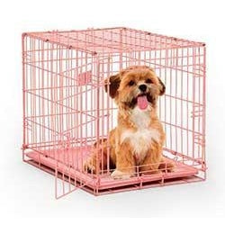 Midwest Fashion Puppy iCrate-Crate-Midwest-Pretty in Pink-Pet Crates Direct