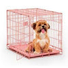 Midwest Fashion Puppy iCrate-Crate-Midwest-Pretty in Pink-Pet Crates Direct