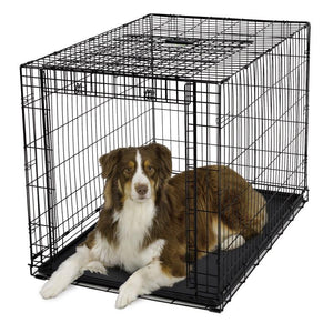 Ovation Single Door Dog Crate-Crate-Midwest-1924 - 25.5 L x 17.5 W x 19.5 H-Pet Crates Direct
