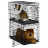 Solution Series Stackable-Crate-MidWest-Pet Crates Direct