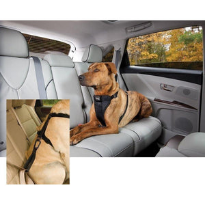 Tru-Fit Smart Dog Seat Belt Harness with Seatbelt Tether-dog-Pet Crates Direct-Large 50-80lbs-Pet Crates Direct